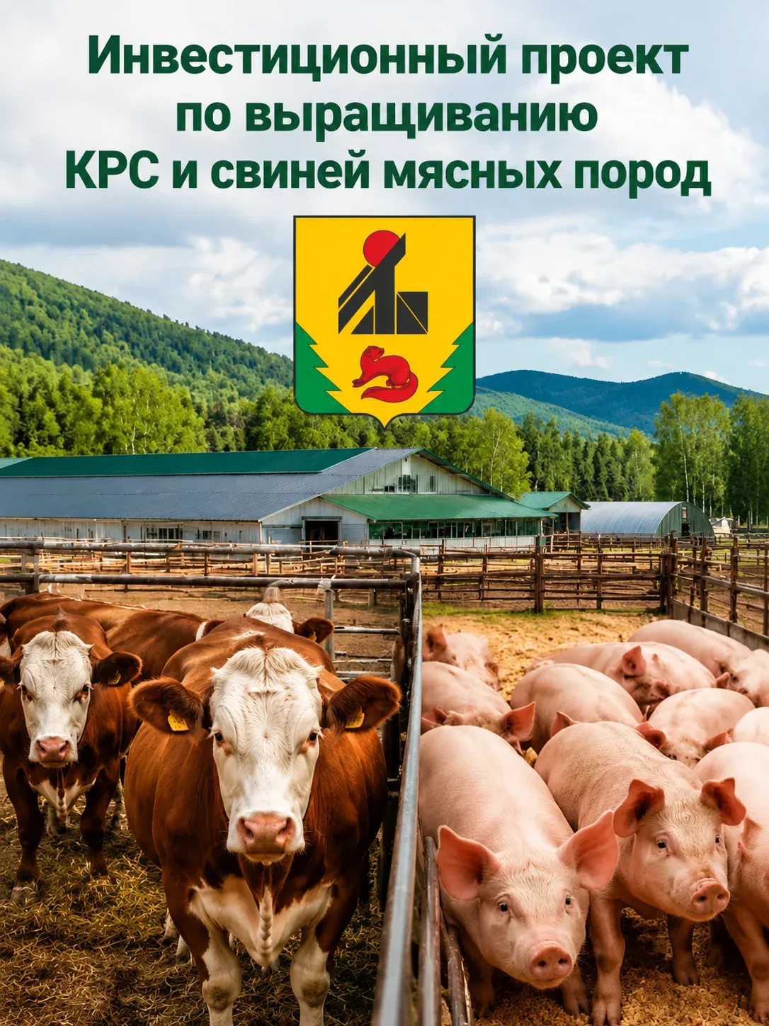 📌Перспективное направление для инвестирования в Верхнебуреинском муниципальном районе!