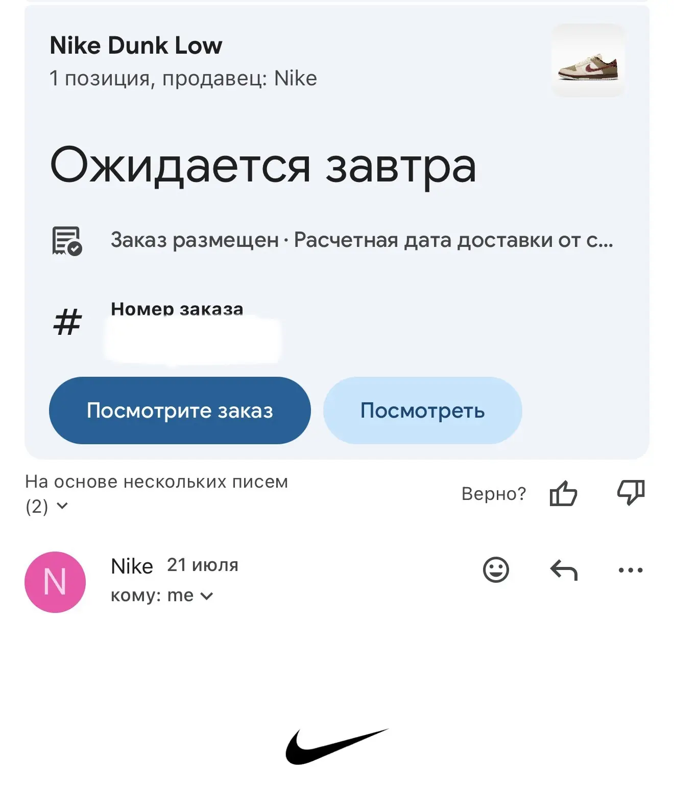 Хоть бы мужа не было дома, когда придут все мои новые кроссовки из Америки, заказанные ...