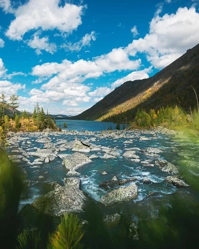 Наш Алтай Чат в МАХ 
----------------------------------------------
Горный Алтай 🏔  
Фото сделано 2