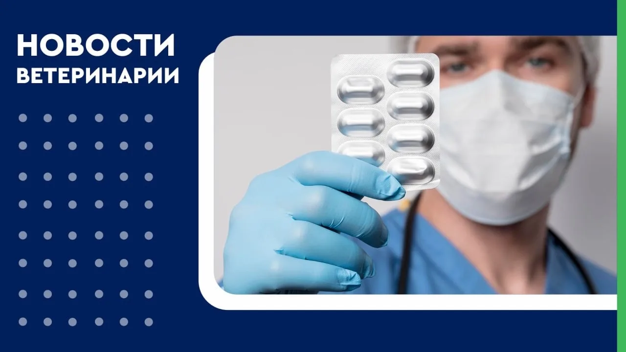💊 В России готовят новые правила хранения ветпрепаратов