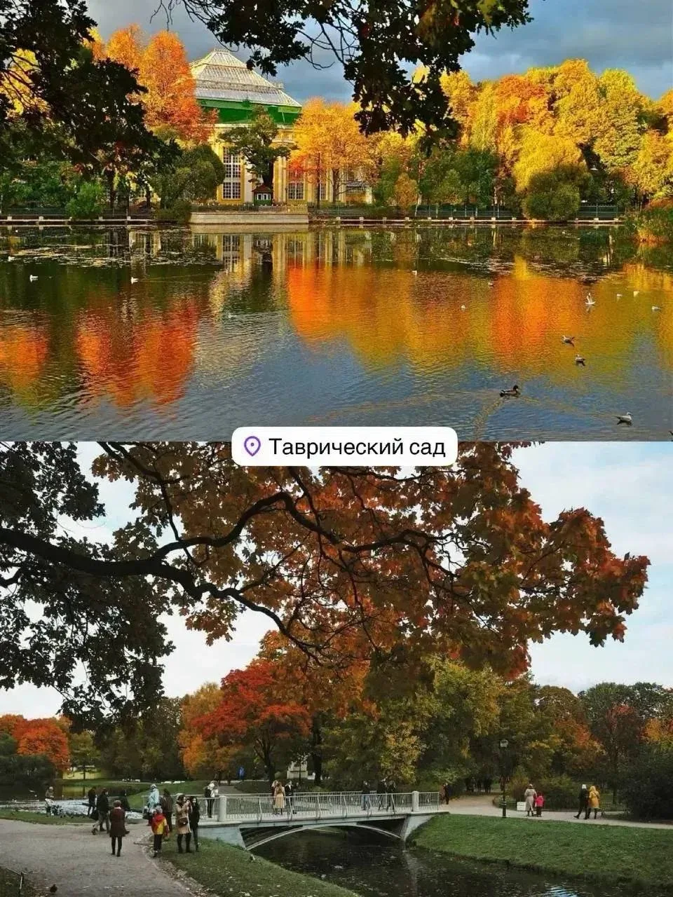 🍁 Самые вайбовые осенние места Петербурга