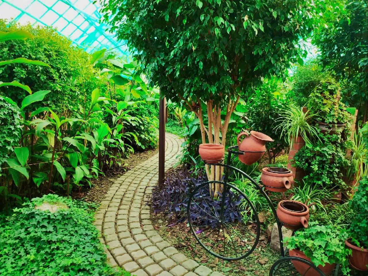🌿☀️Где вечное лето?