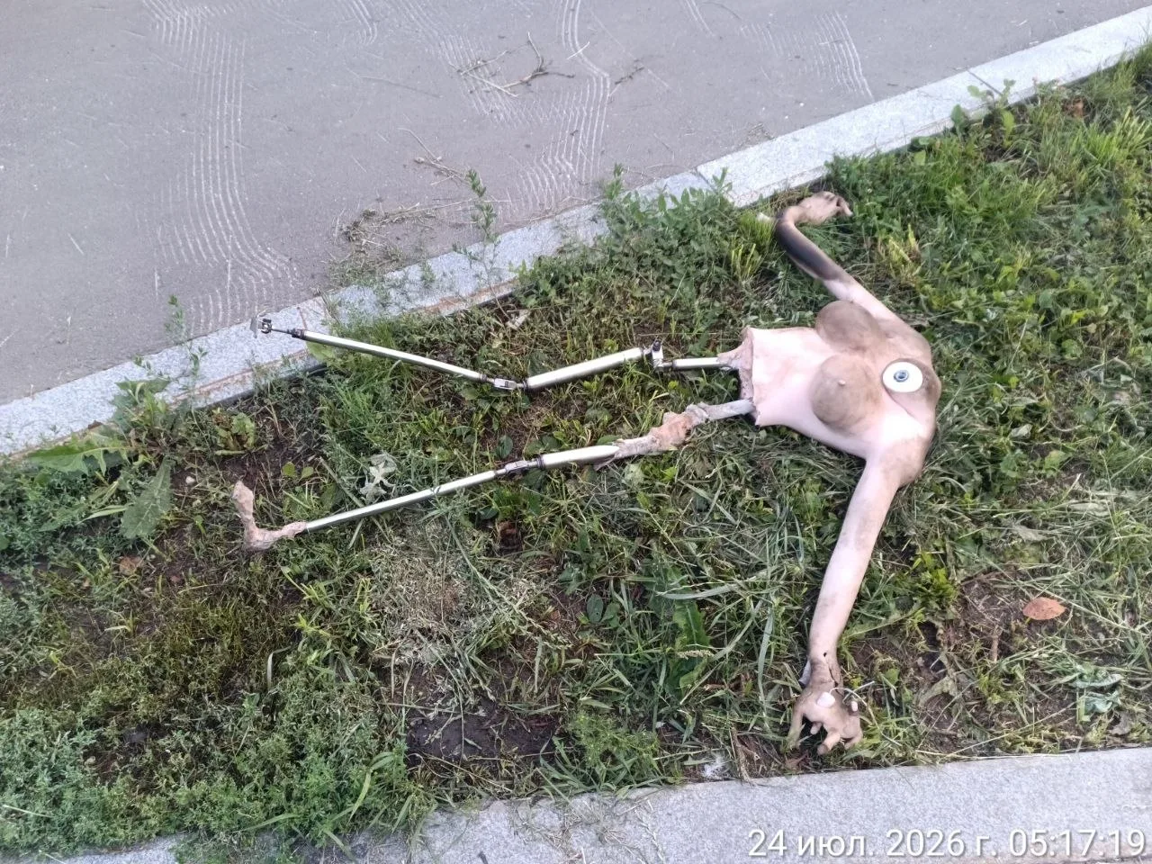 Вот к чему приводит не воспитание пофигическое  отношение к детям... Это всего лишь кукла. Но выгляд