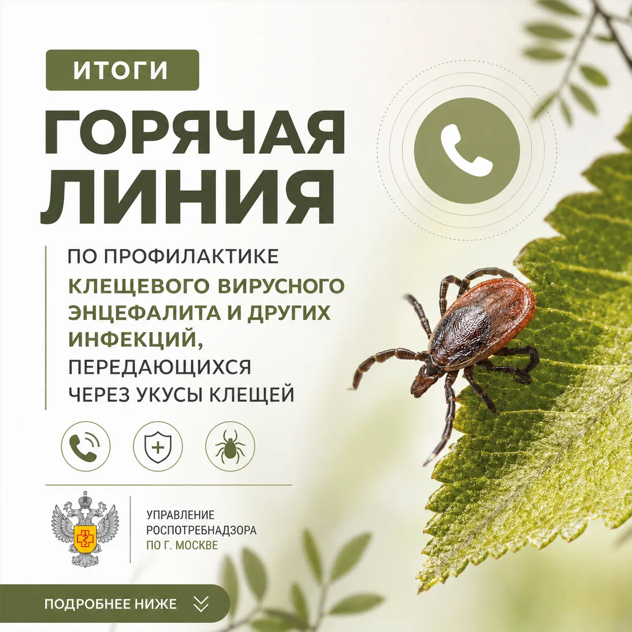 Итоги проведения горячей линии по профилактике клещевого вирусного энцефалита и других инфекций, пер
