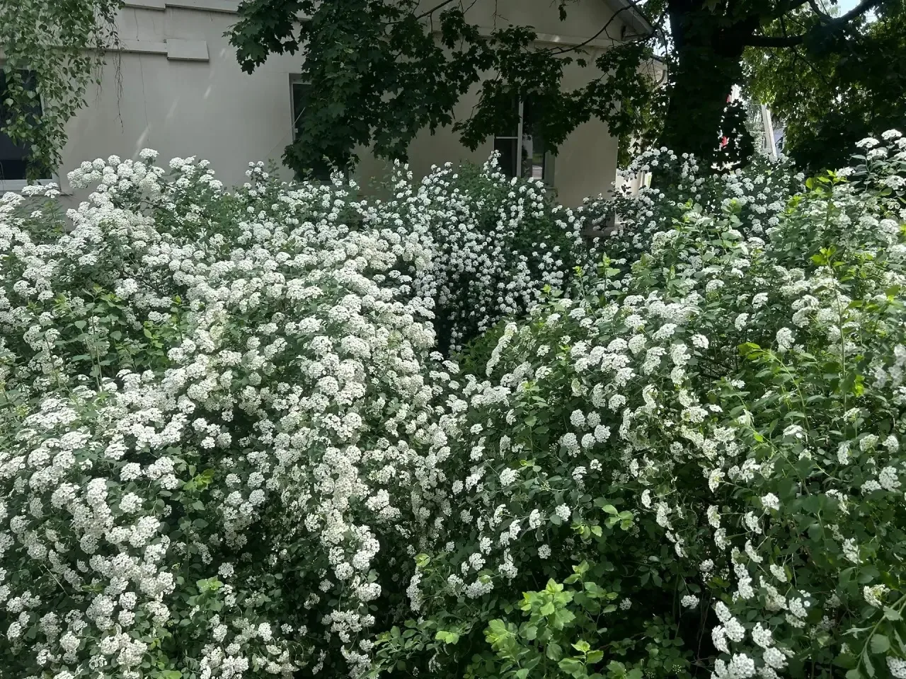 🌷 Весна… Как она красива! 🌷