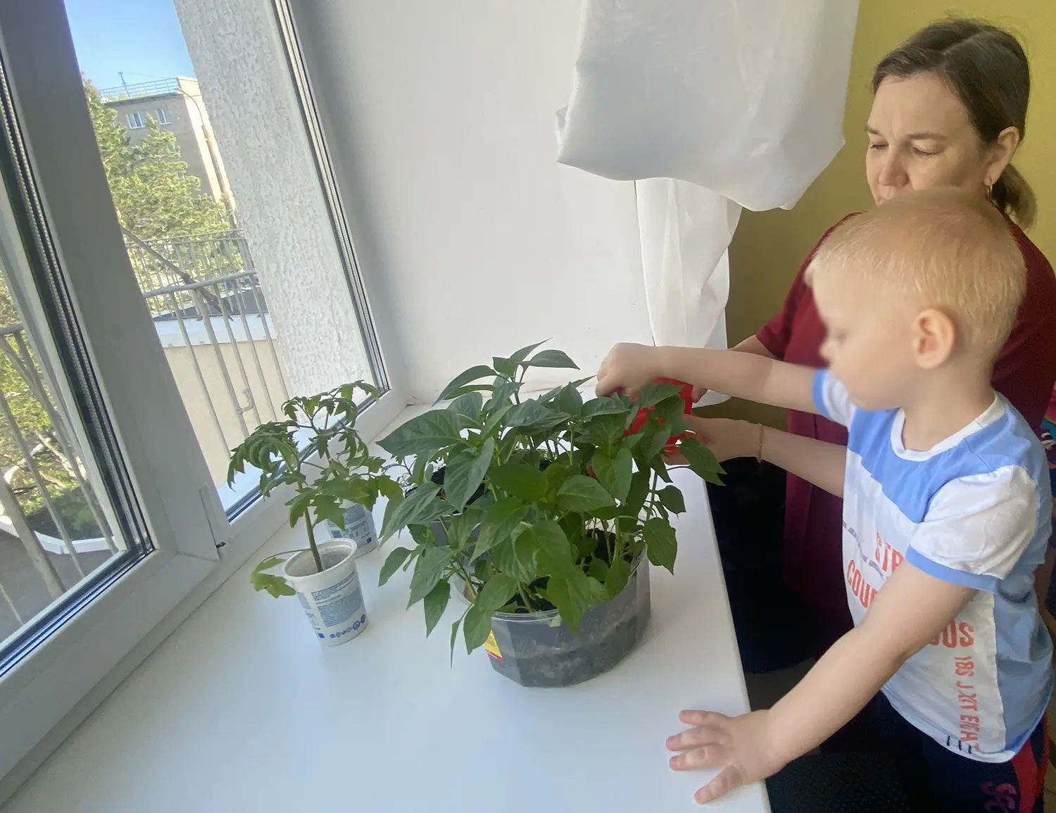 🌱 Наша теплица и огород — настоящая «живая лаборатория» для юных исследователей!
