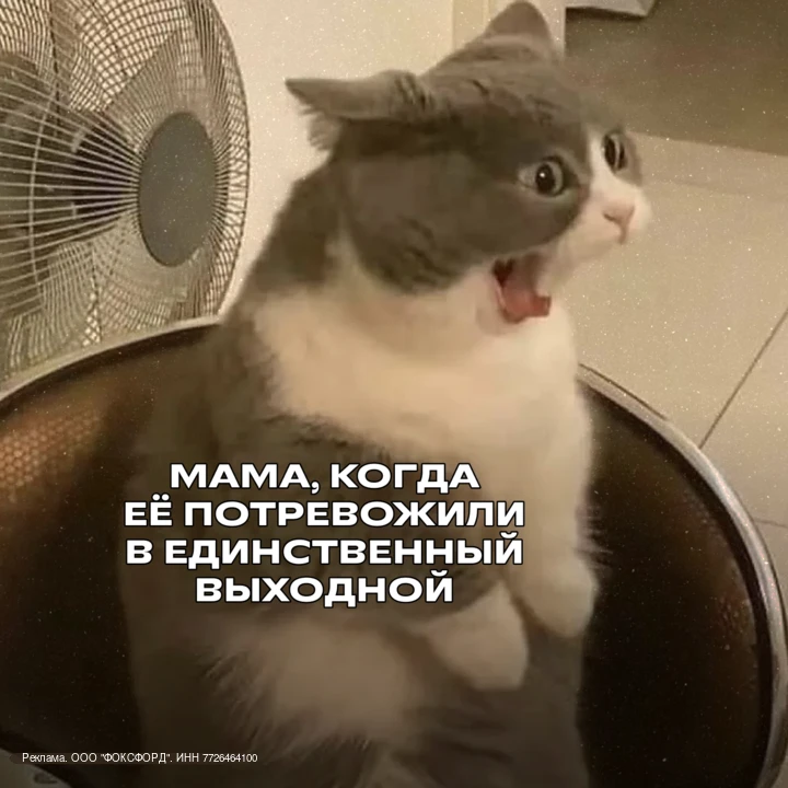 erid: 2W5zFHgKA3B