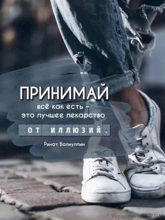 ▬▬▬▬▬▬▬▬▬▬▬▬▬