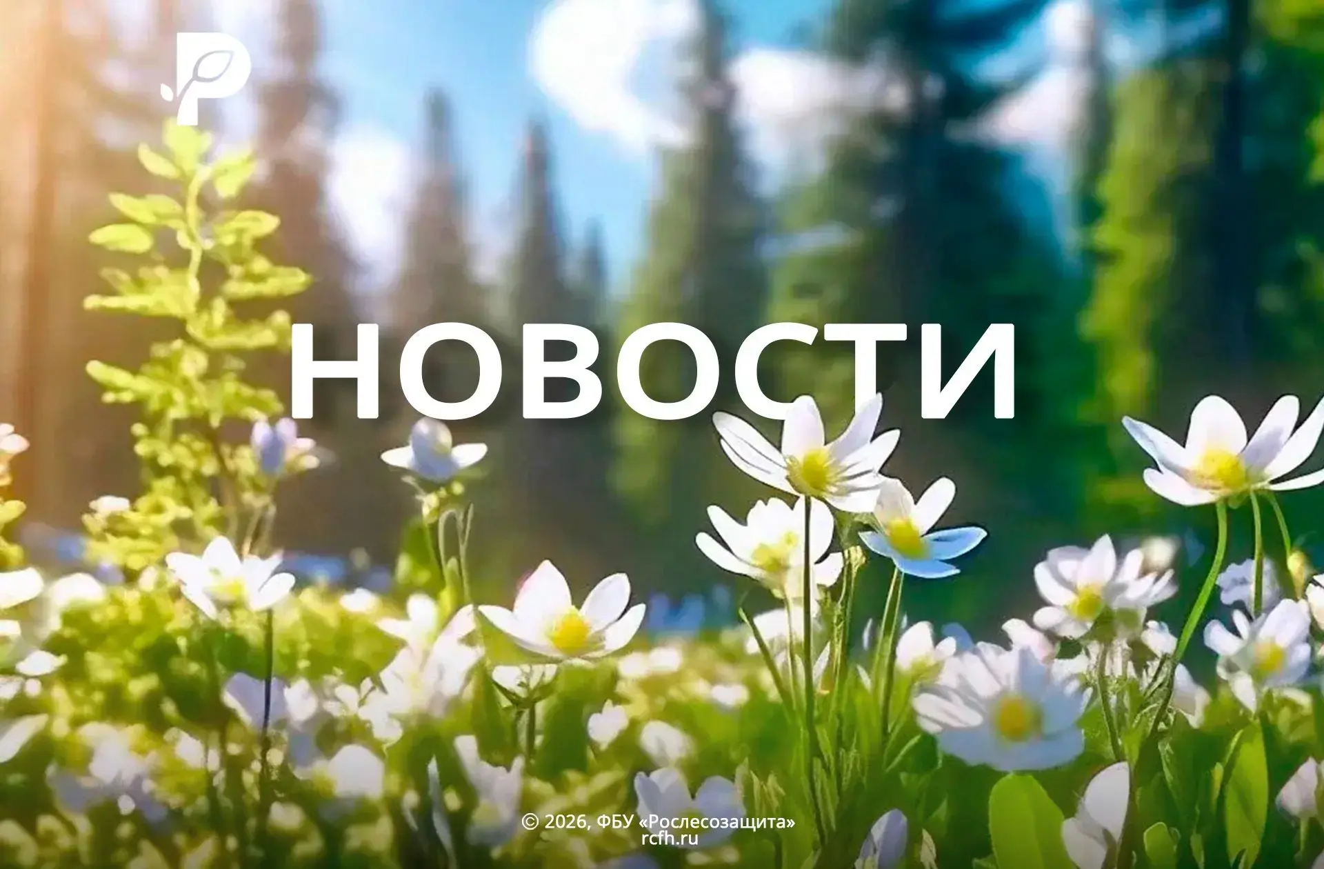 🟢 В Пензенской области разработали рекомендации по уходу за лесами
[контакт скрыт]

🟢 В Сосногорск