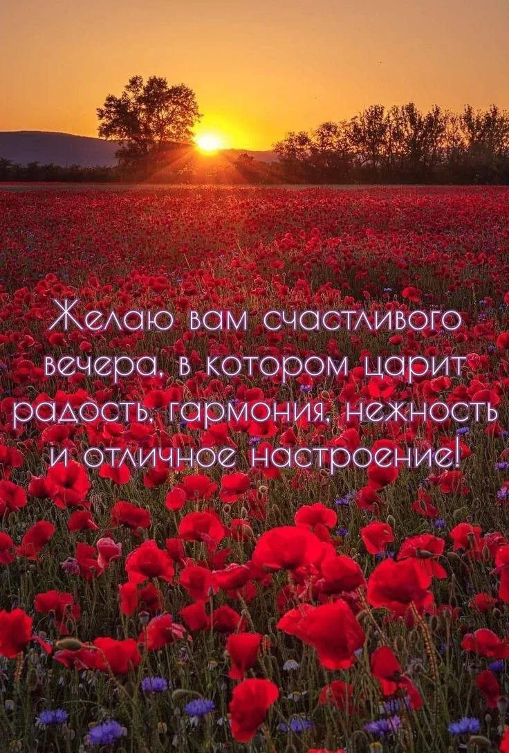 МИР ОТКРЫТОЧЕК | ПОДПИСАТЬСЯ!