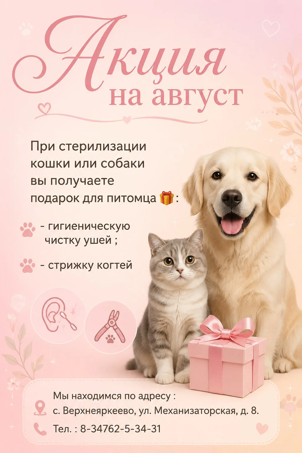 Медиа публикации