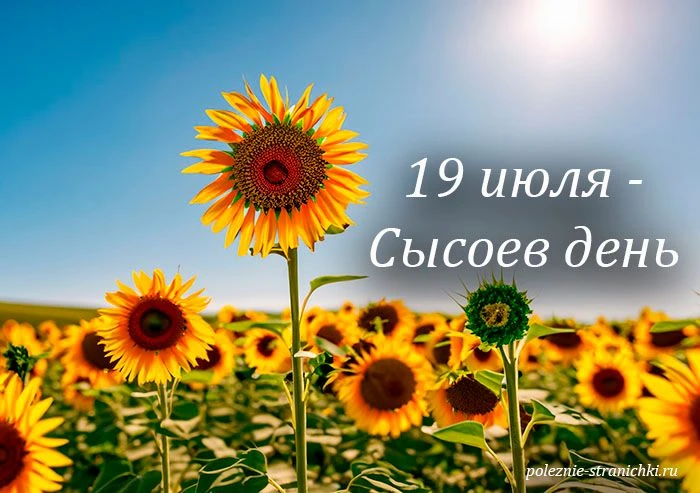 🌺Народные приметы 19 июля.

Какой праздник отмечается 19 июля.
Народные приметы 19 июля.
Что не сто
