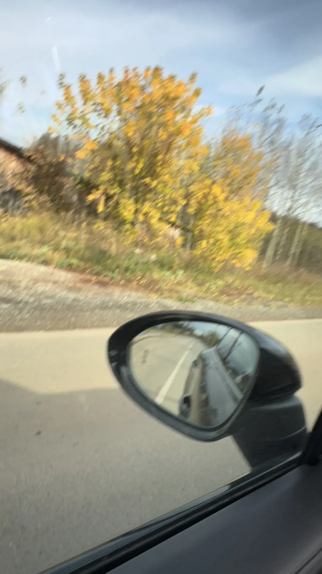 Я хотела снять красивое дерево, но в этот момент поняла, что можно совершить обгон. И ф...