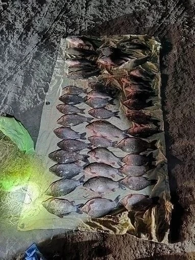 🐟 Рыбалка для жителя Нижневартовска обернулась уголовным делом.  64-летний мужчина, ловивший рыбу в 