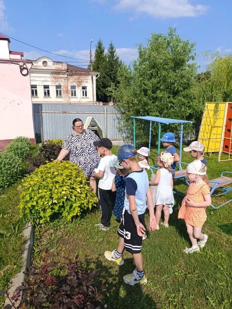 ✨🌳 Наши юные ботаники в "Летнем лесу"! 🌳✨