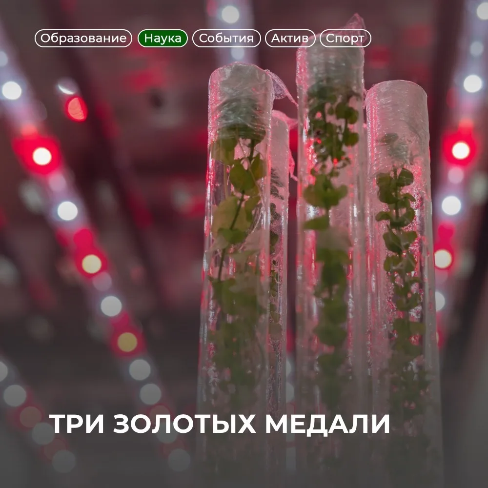Три золотых медали по итогам 12-й Международной выставки «IEI-2026» 🥇
