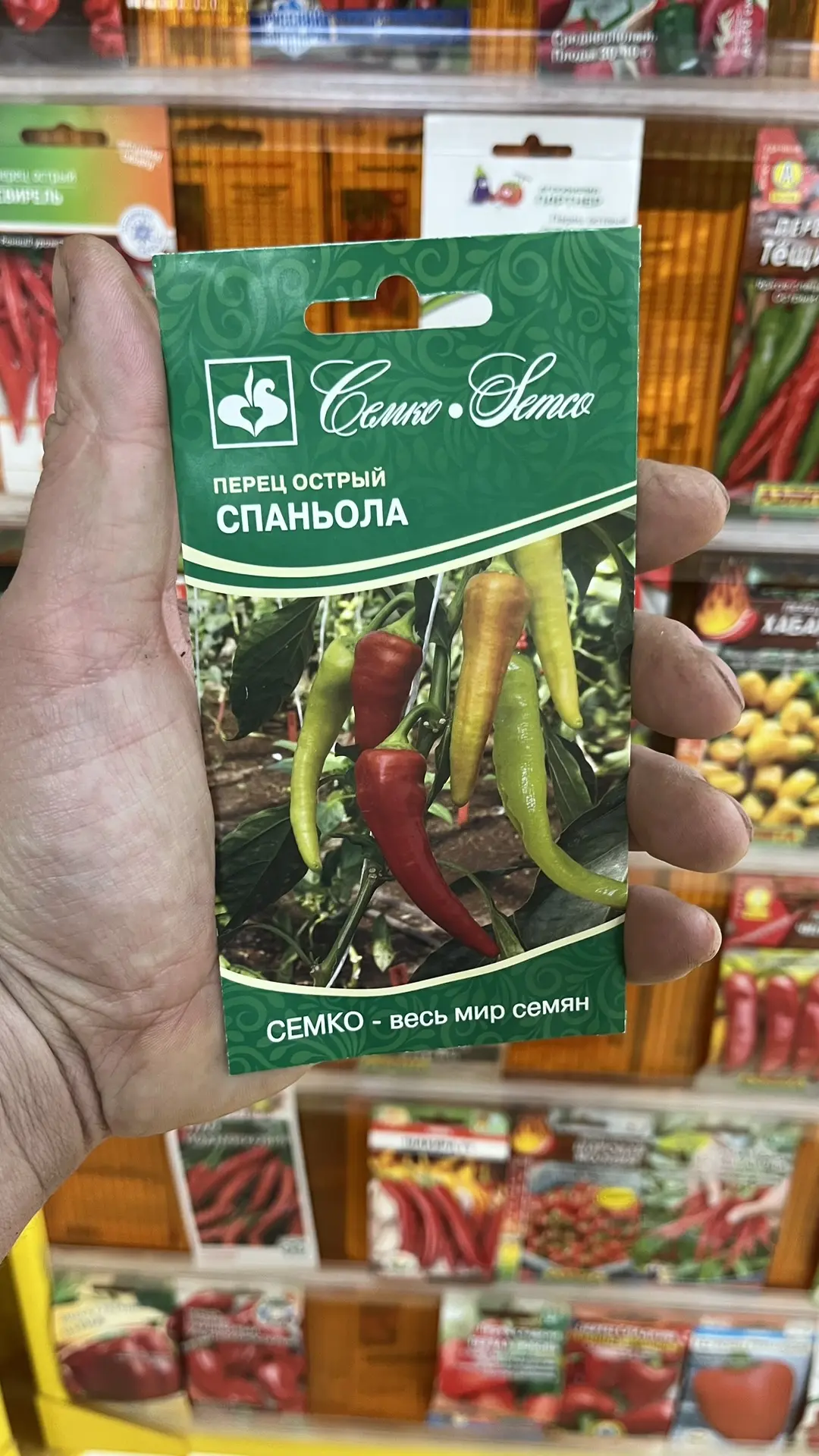 Перец сезона 2026 - теплица. #консультантсадовода Сложности выбора перца ввиду схожести вкуса есть в