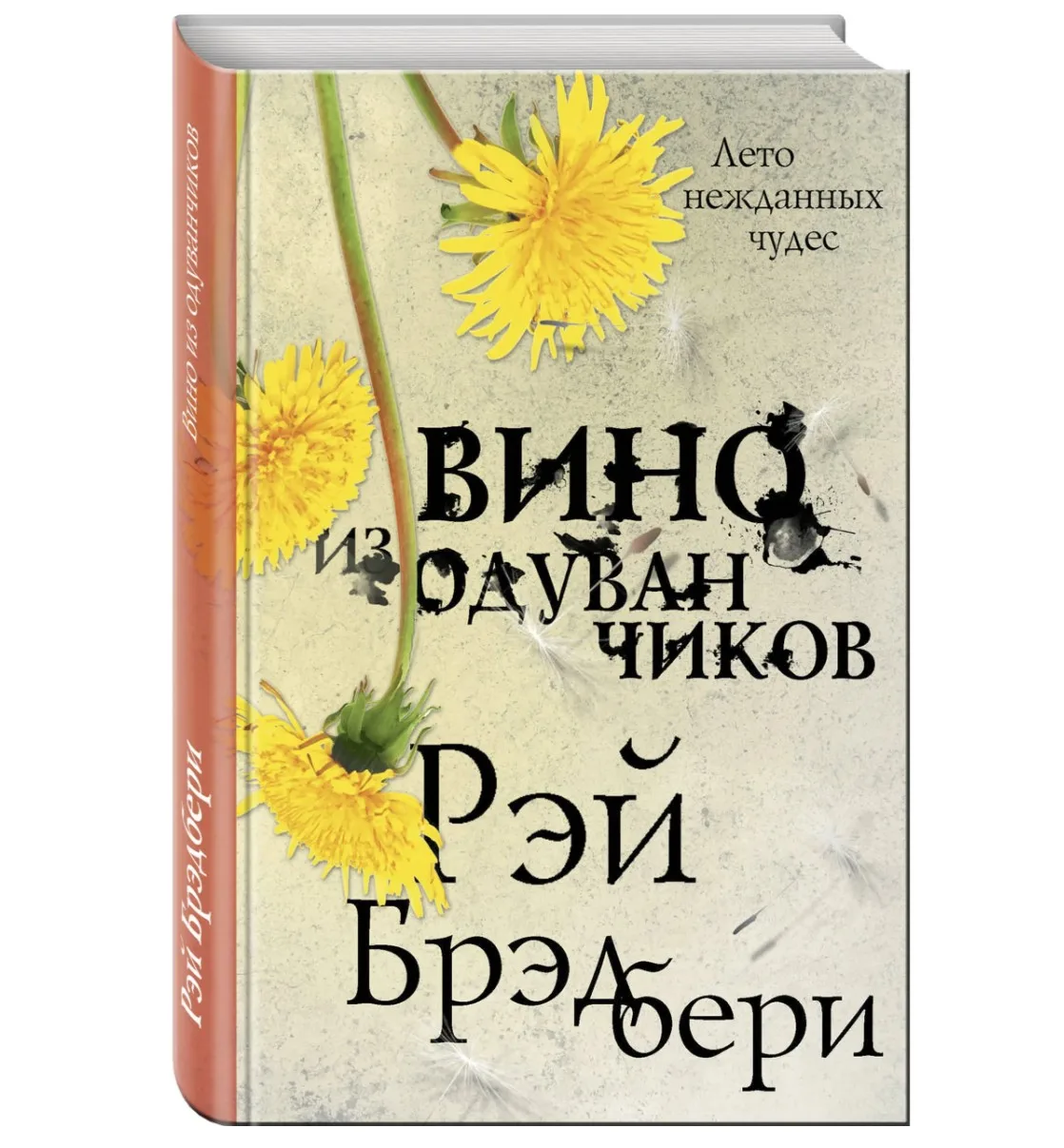 Лето всегда кажется бесконечным, пока однажды не понимаешь, что оно уже прошло. Именно поэтому сейча