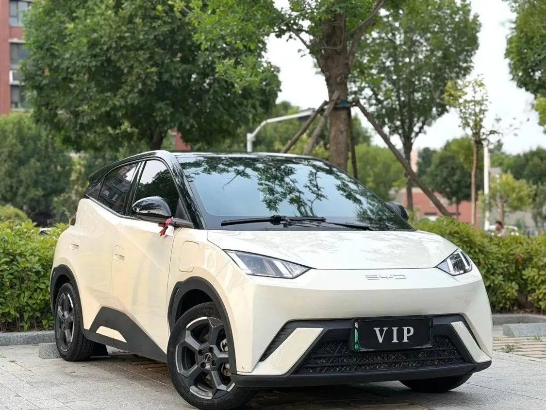 🇨🇳 BYD Seagull Электро