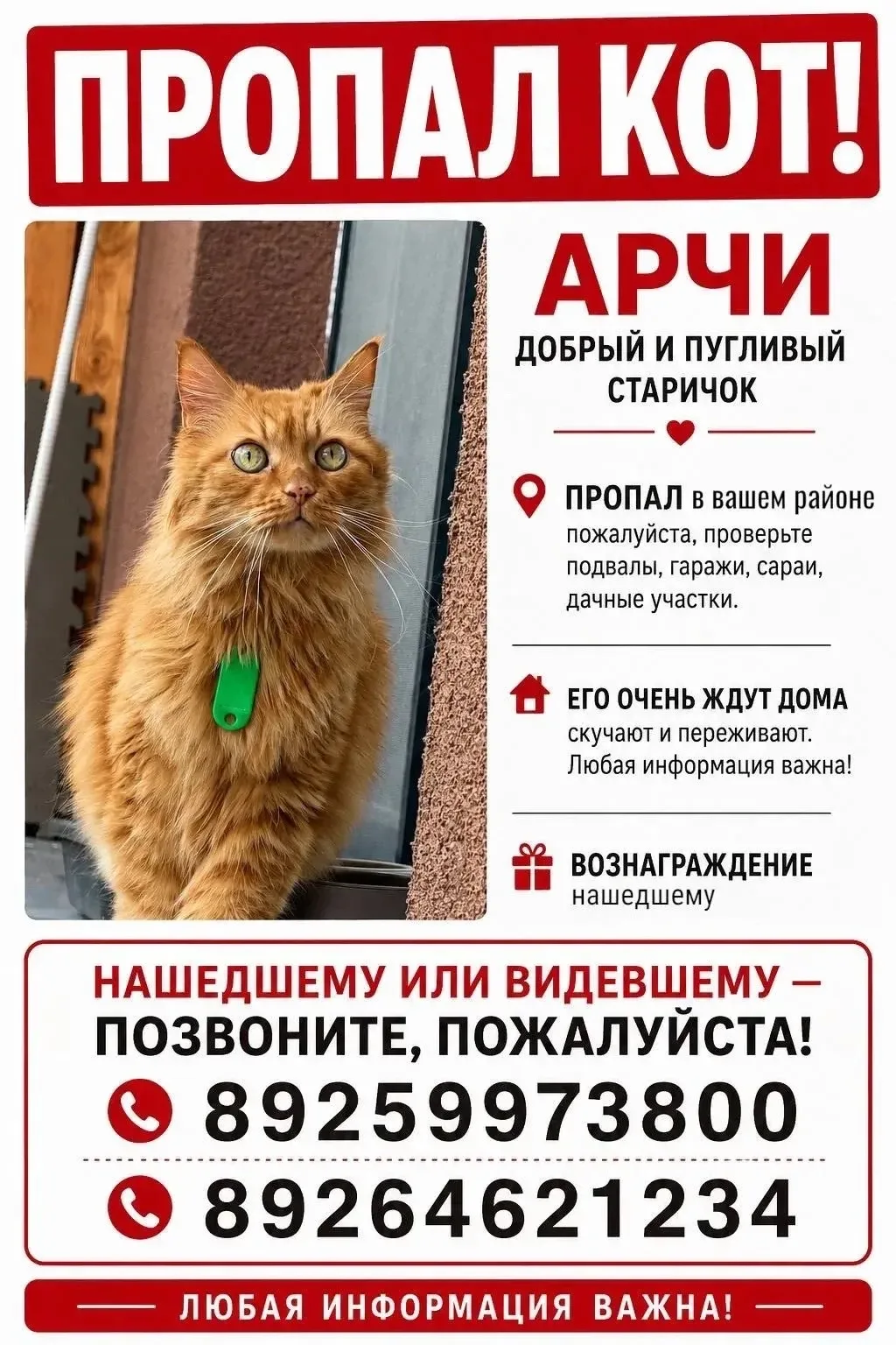 ‼ Потерялся кот… Пушистому чуду 14 лет, и дома его очень ждут! 🙏🏻 Хозяева уже с ног с...