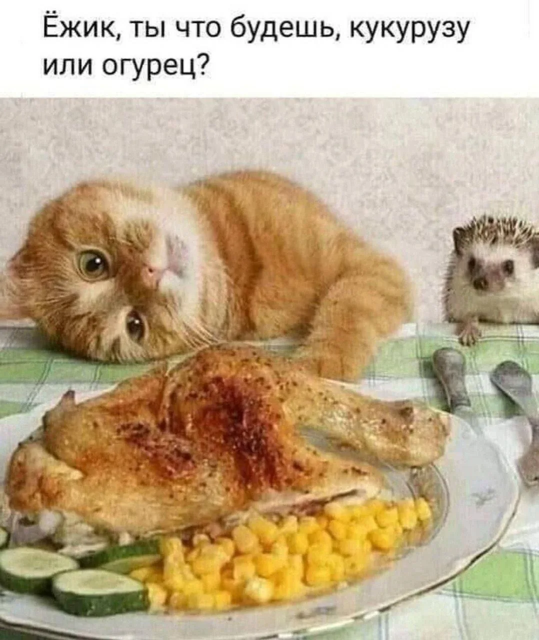 С добрым утром))