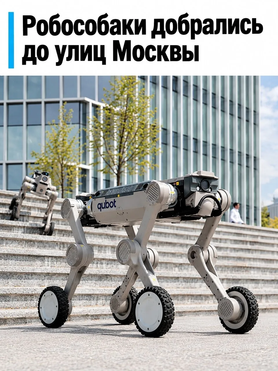 Робособаки вышли патрулировать улицы Москвы.