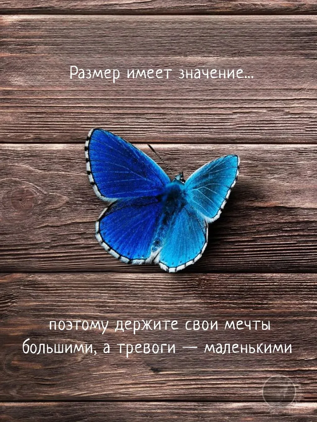 Величайший секрет жизни, который открылся мне после 30-ти, в том, что тебе всегда должн...
