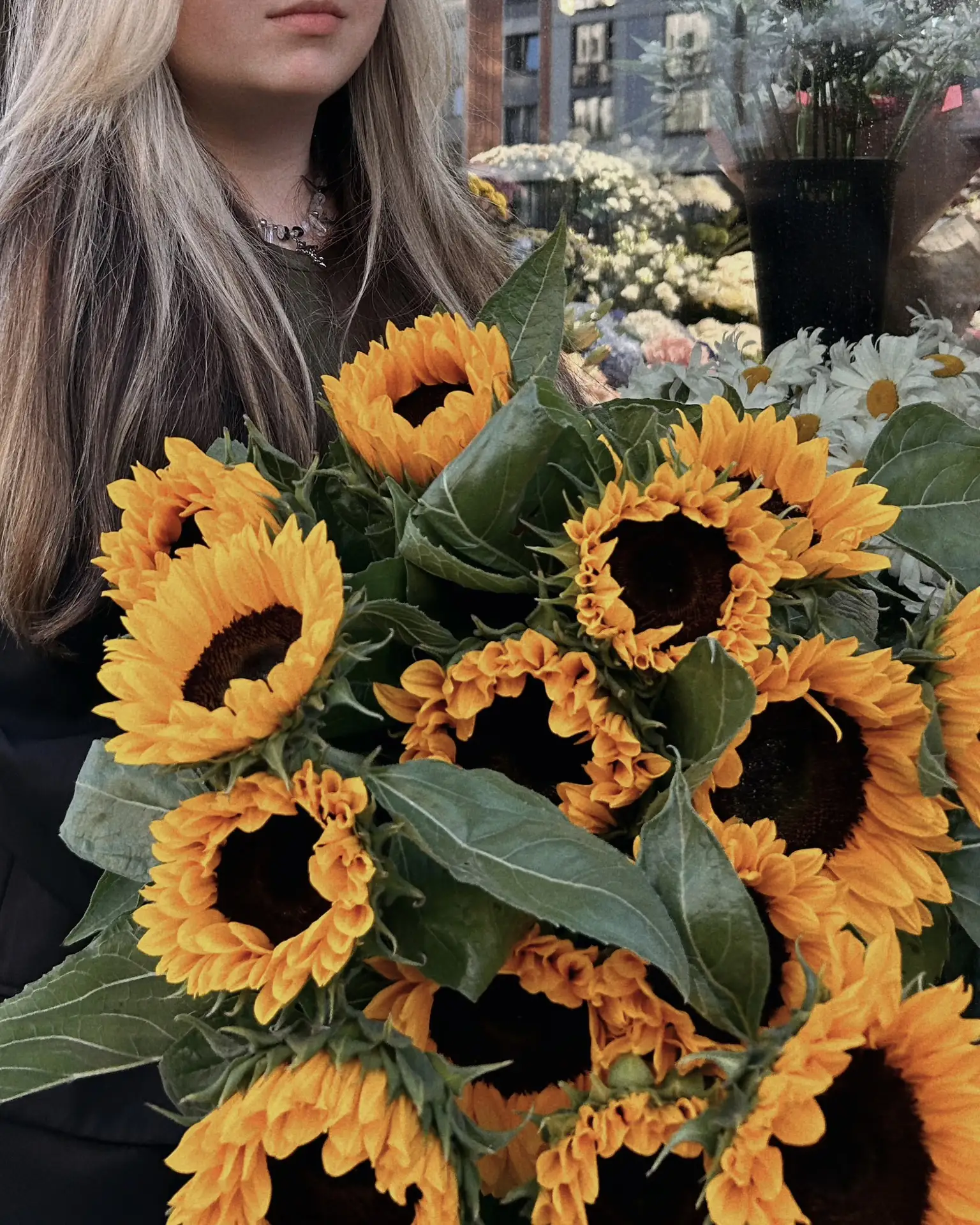 🌻 Забавный факт о подсолнухах!🌻