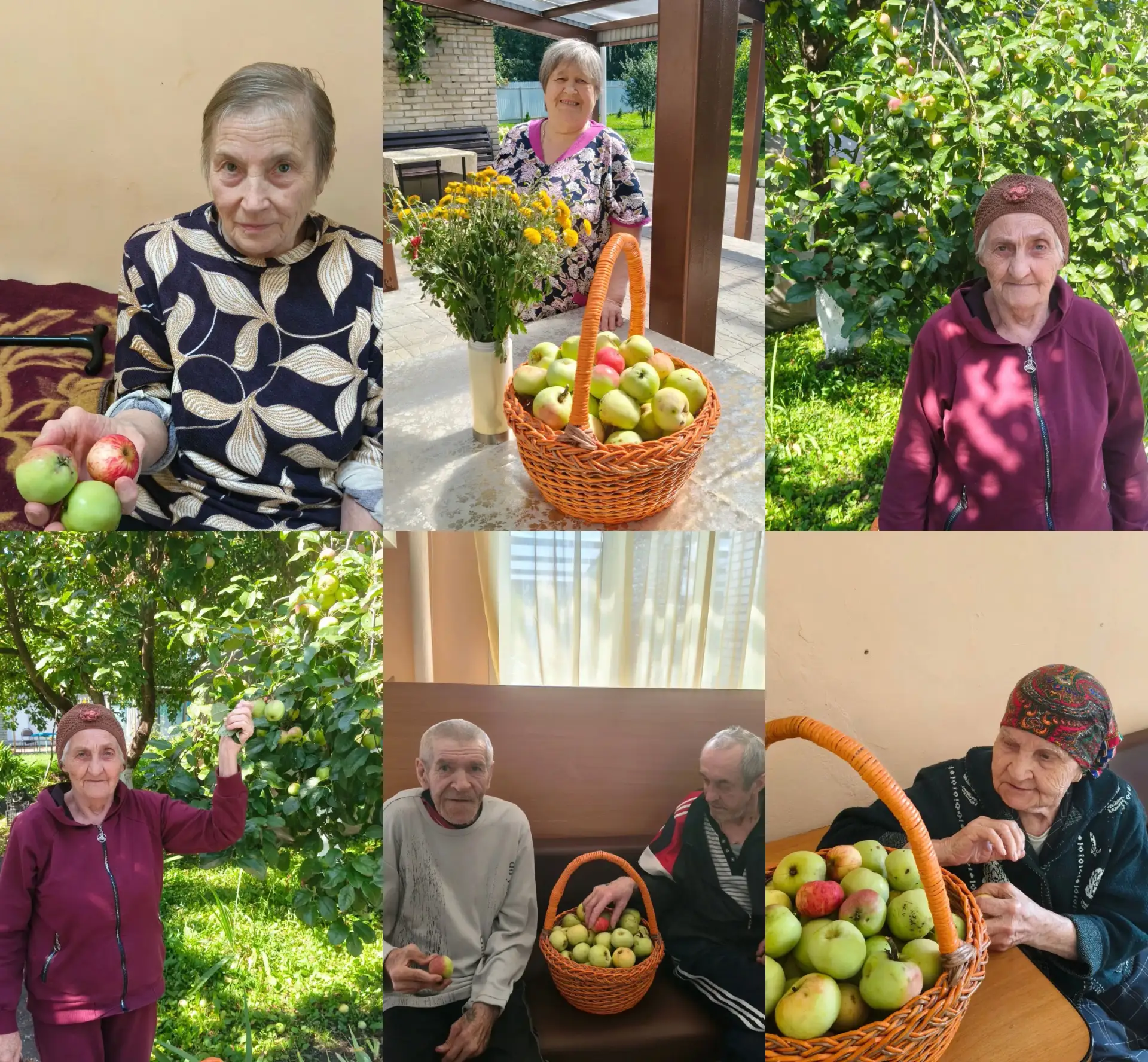 🍎 Сегодня особенный день — Яблочный Спас! Время, когда лето щедро делится своими дарам...