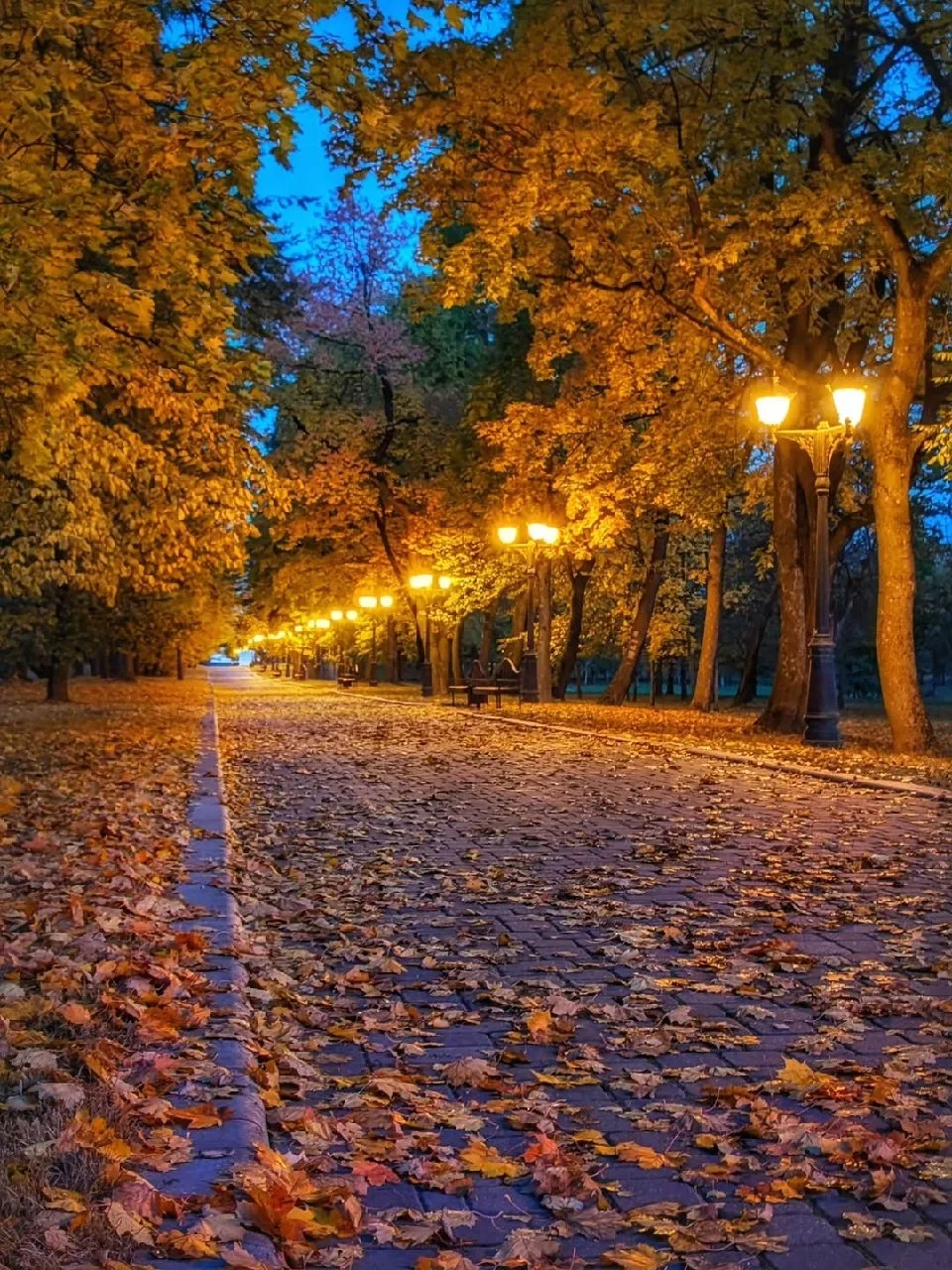 01.10 - действуйте через доверие к пространству