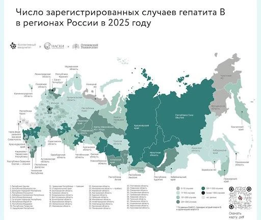 28 июля — Всемирный день борьбы с гепатитом.

Согласно отчету ВОЗ за 2024 год, гепатитом B страдают 