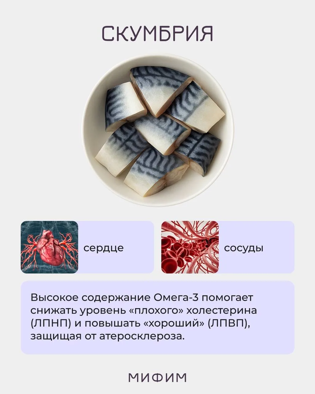 КАК ДАВНО ВЫ ЕЛИ МОРЕПРОДУКТЫ? 🦐  А ведь это настоящая кладезь белка, витаминов, минералов и жирных 