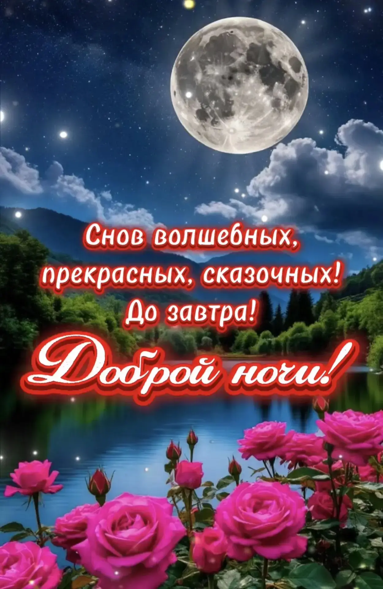 Галерея Открыток
