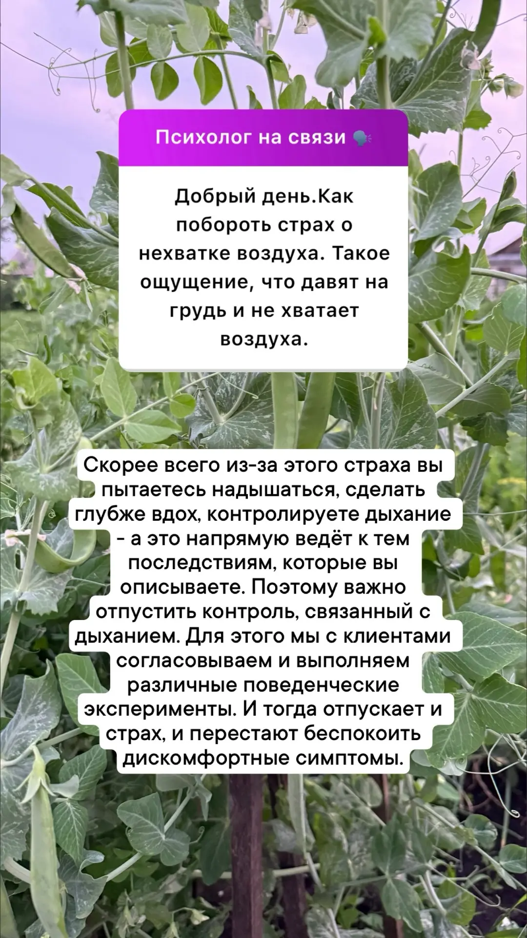Разбор ваших анонимных вопросов💛