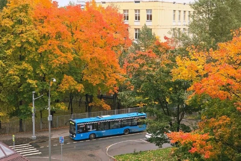 🚋 Осенний пейзаж на проспекте Вернадского