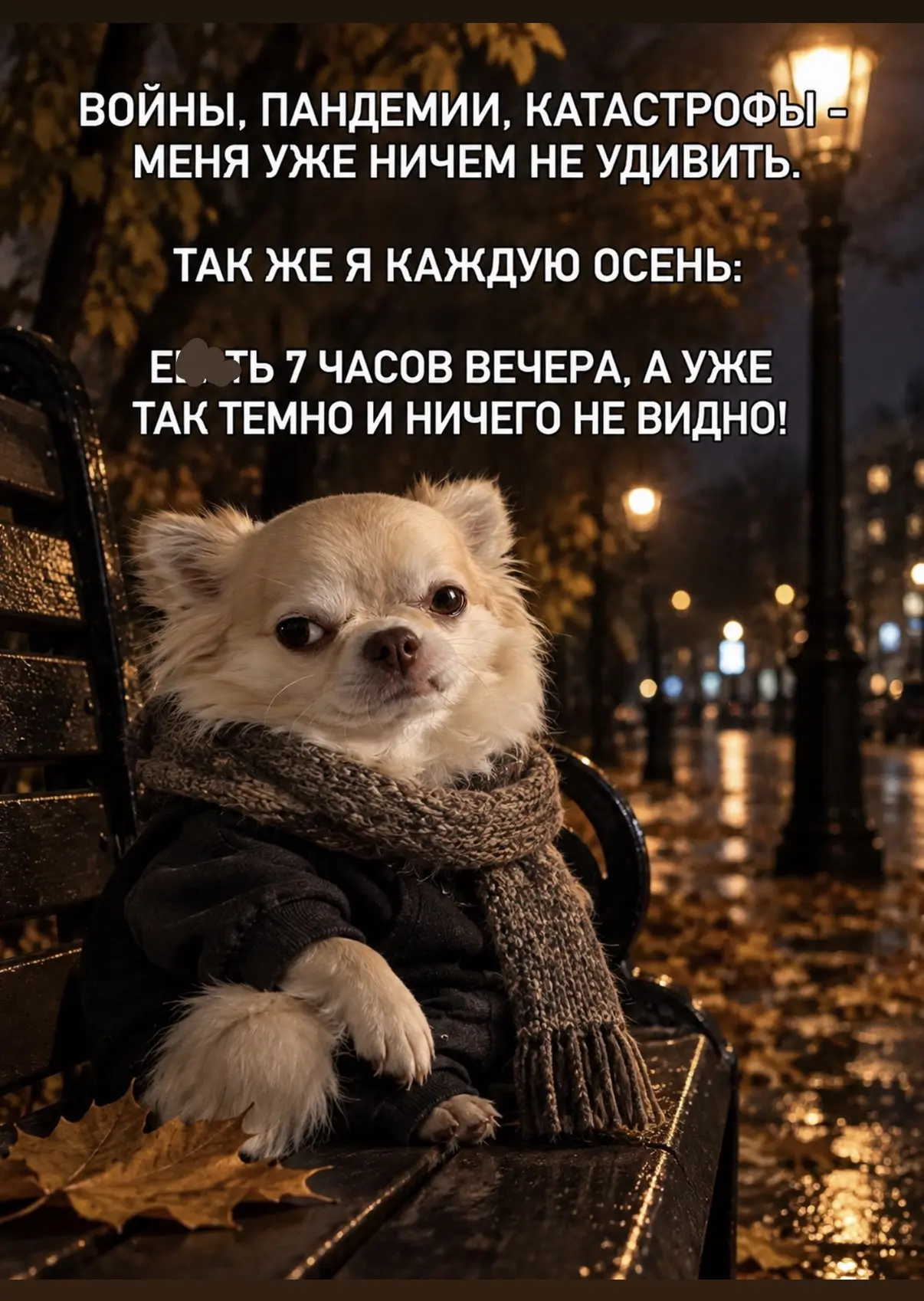 Мда уж