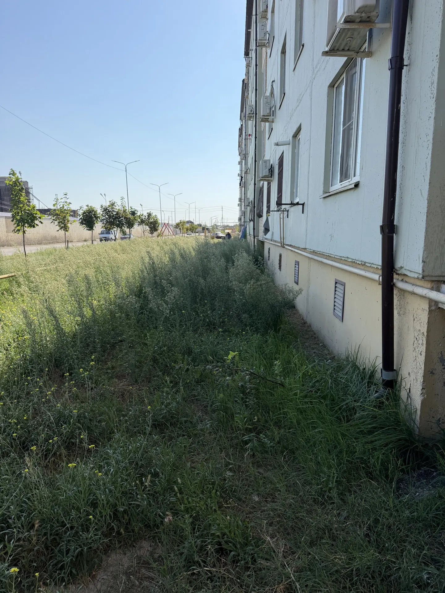 УК «Очаг» продолжает выкашивать газоны на придомовых территориях многоквартирных домов ...