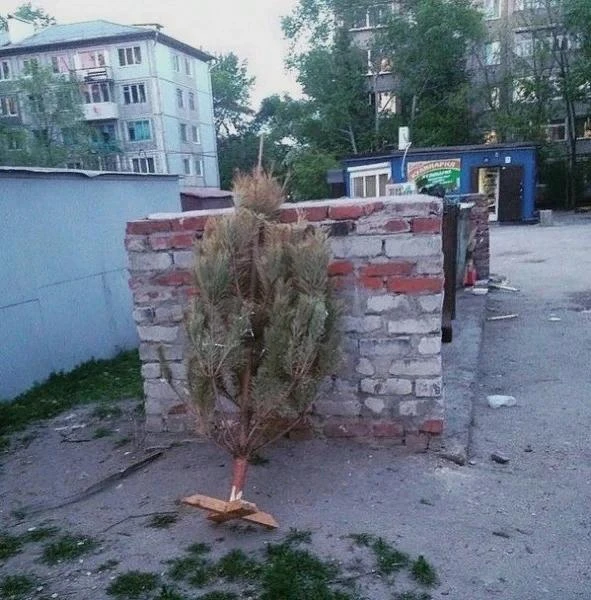 4 октября, кто-то сдался)