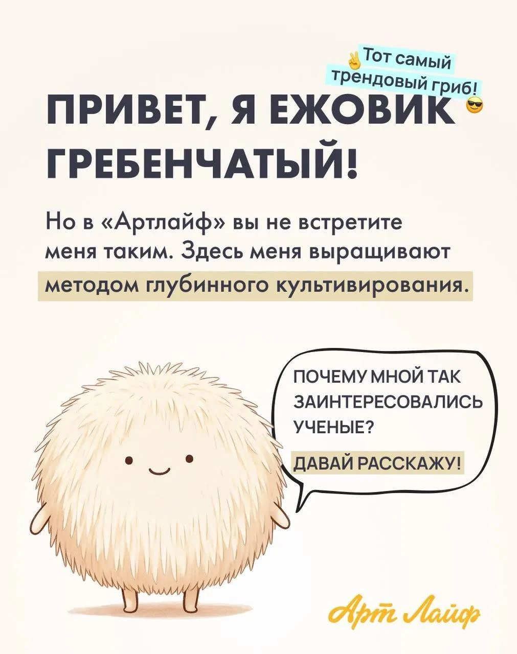 Почему все вокруг говорят про ежовик?