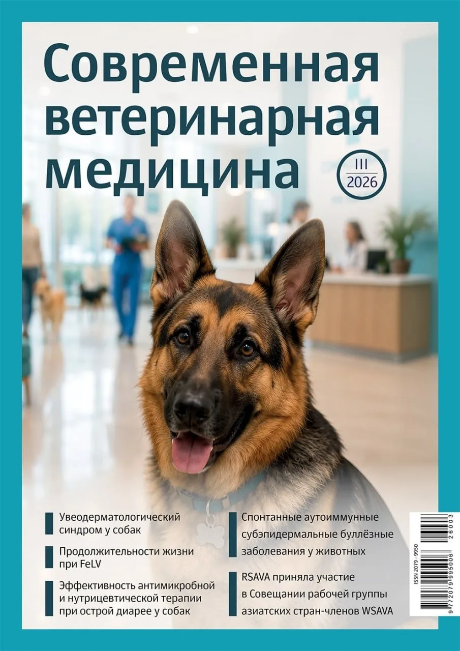 ❗️ Вышел в свет СВМ №3 за этот год!