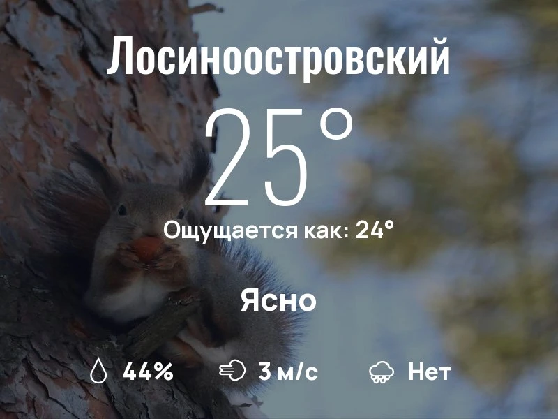 Что с погодой в Лосиноостровском?