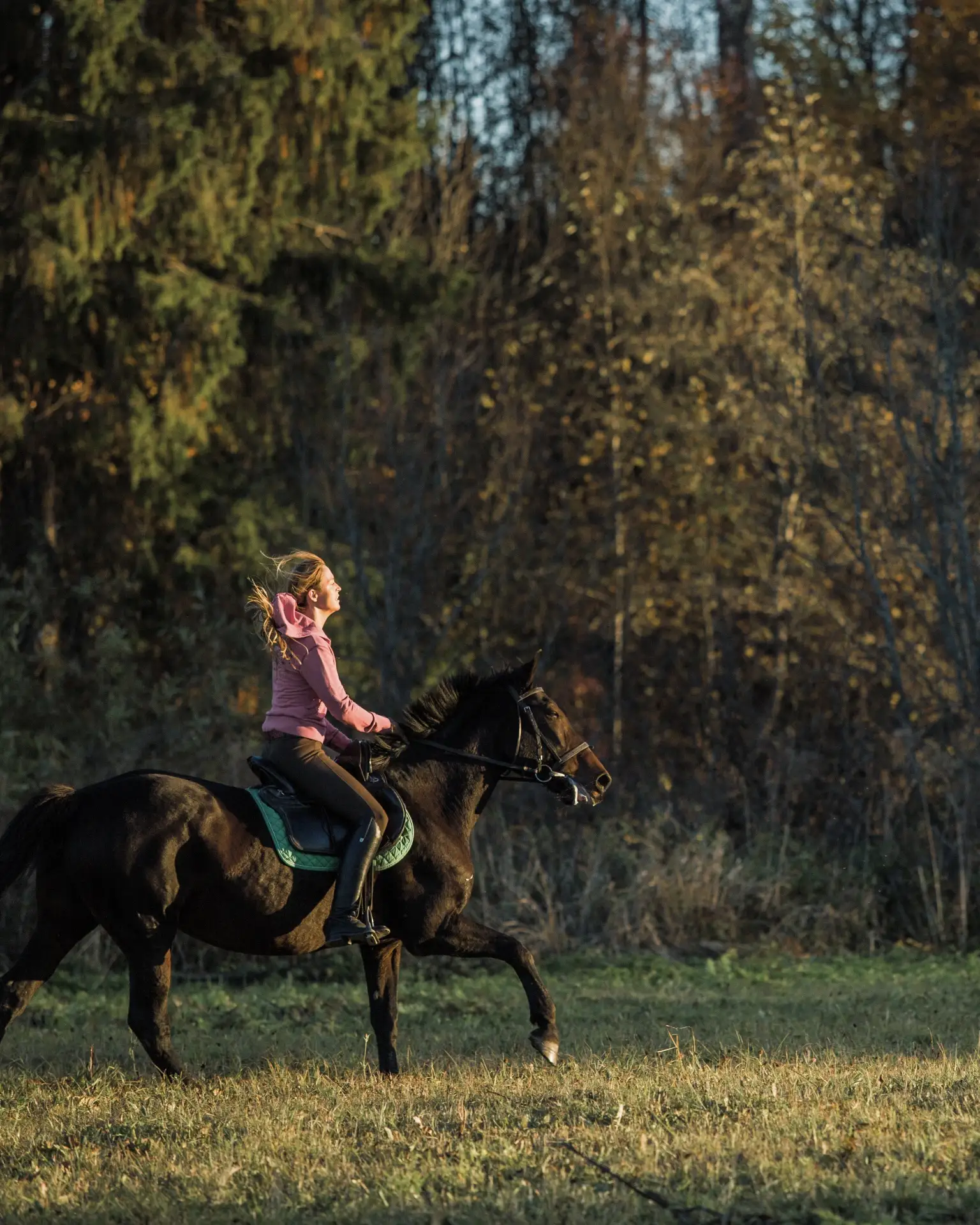 🐎 Лошади «ВКС-Кантри» — любовь с первого знакомства 🤍