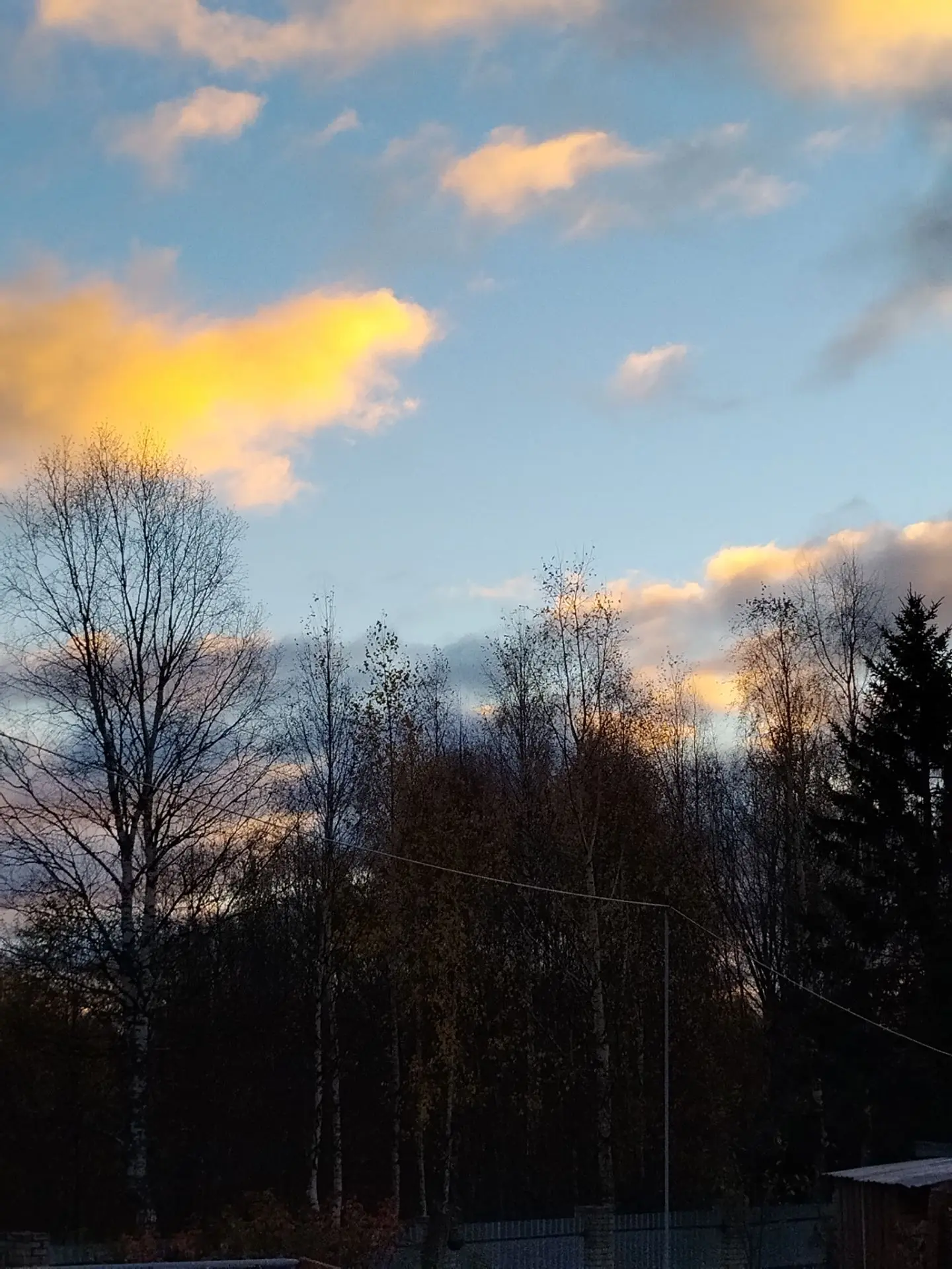 🌿 Доброе утро !