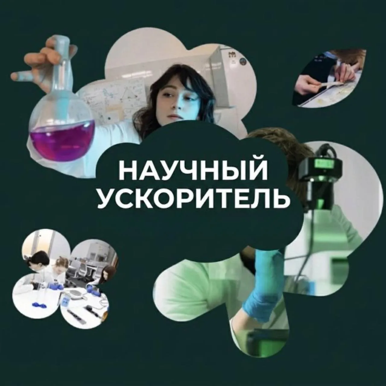 В центре науки: когда любопытство становится исследованием

🧠 Проект «В центре науки» приглашает уч