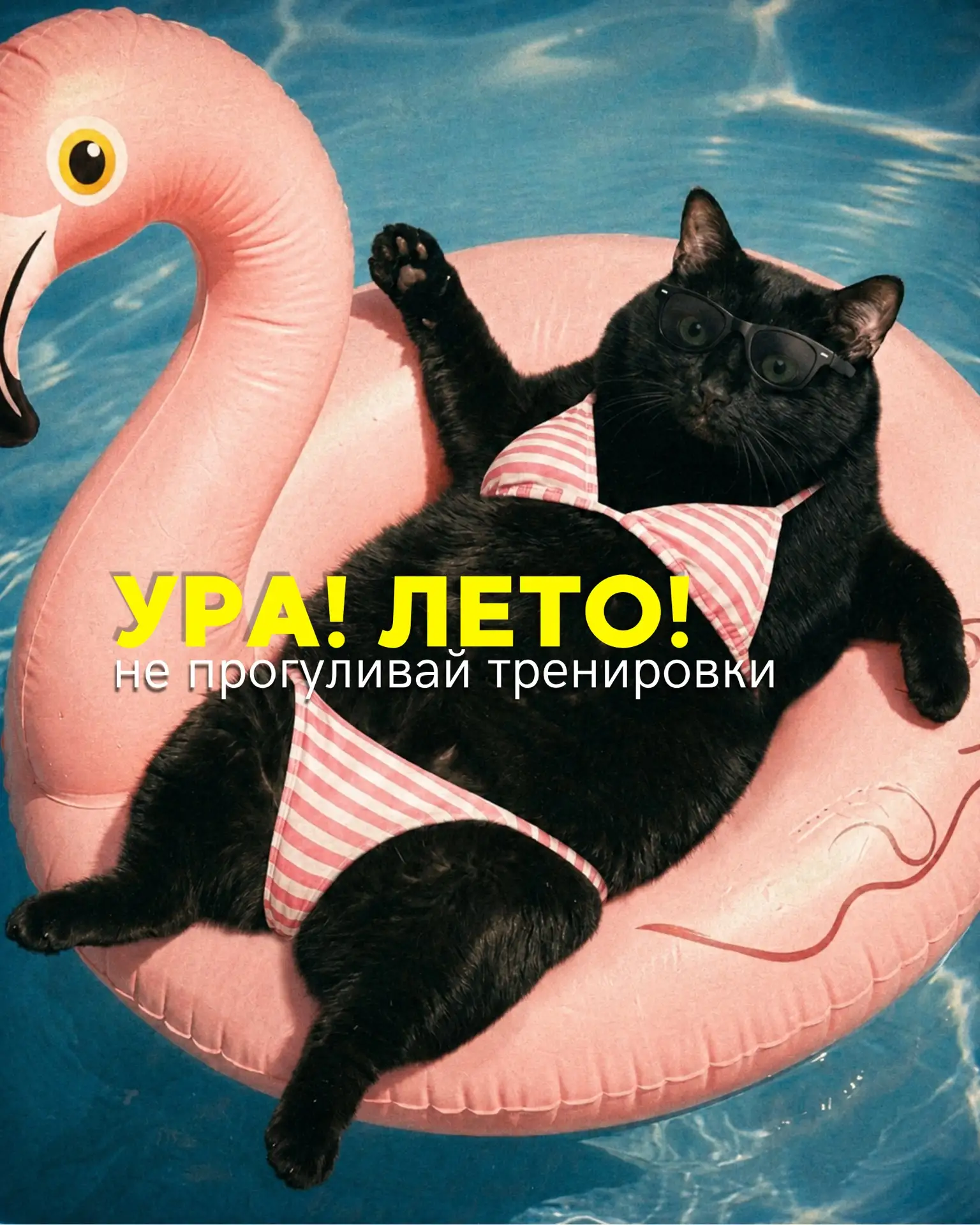 С первым днём лета и Днём защиты детей! ☀️