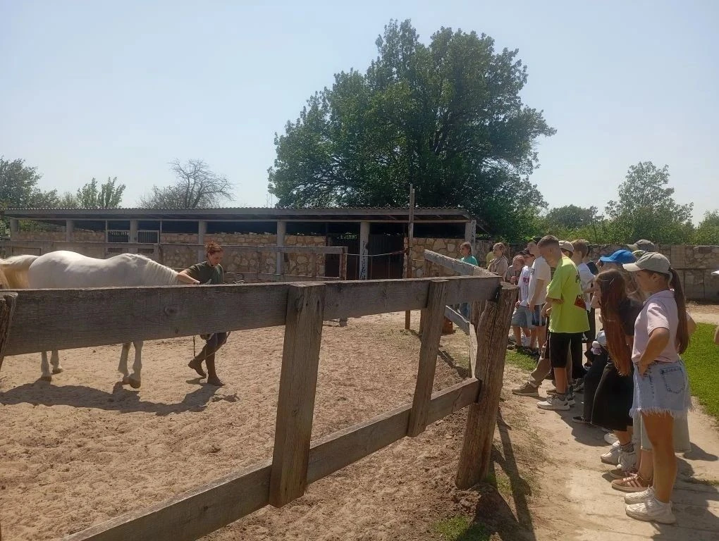 22 мая учащиеся 7Б и 7В классов посетили Казачий Курень и Лесное ранчо в Иловлинском районе. Это был