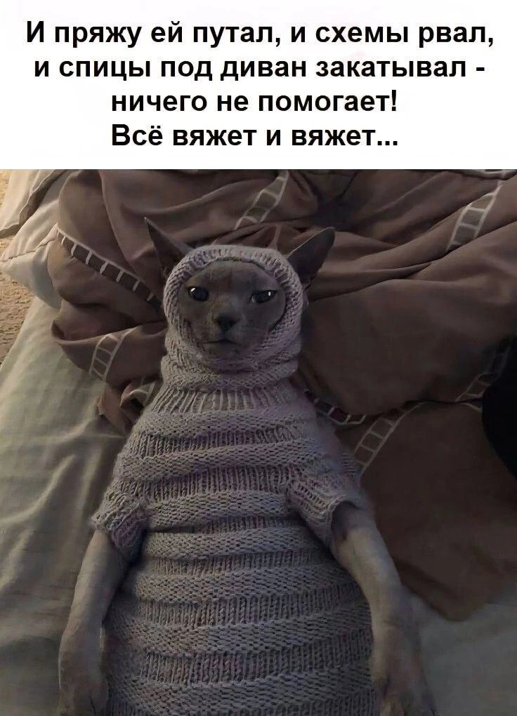 Давайте делиться в комментариях фотографиями ваших пушистых помощников!