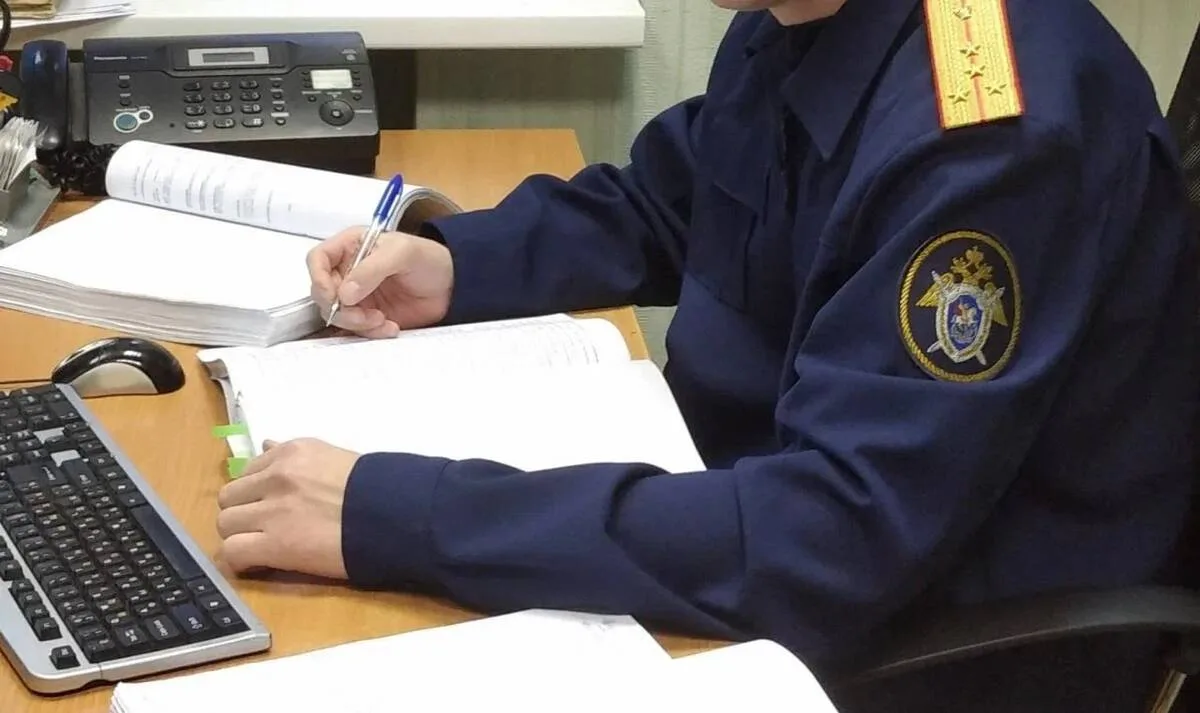 Бастрыкин затребовал доклад об избиении брянца подростками