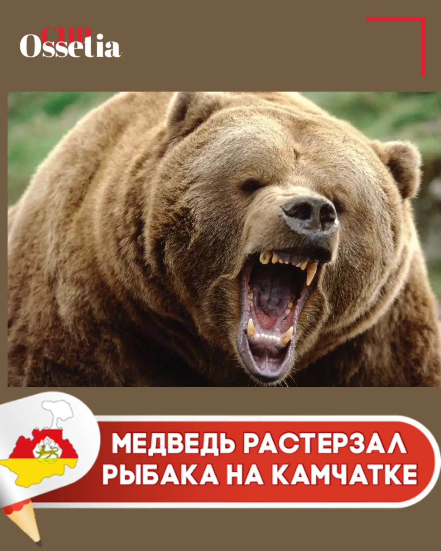 😱 Медведь растерзал рыбака на Камчатке

Трагедия произошла в полутора километрах от поселка Озернов