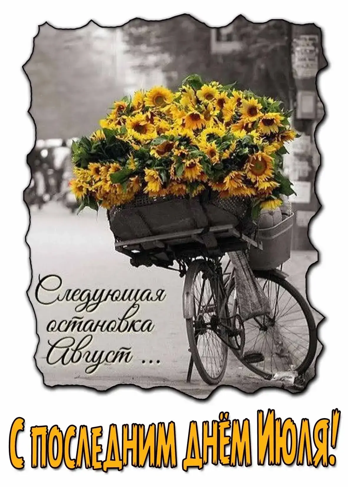 🗓 Рубеж лета: 31 июля!